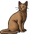 Birchfall.warrior.alt.png