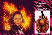 KJM Banner