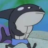 DonTheWhale