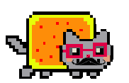 Nyan-dom Kitten2