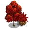 Sweet Gum Tree-icon