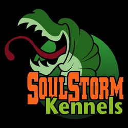 SoulStormKennels