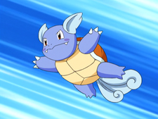 KP Soul 225px-May_Wartortle