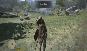 Estan Plains