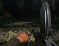 Bren CoD3