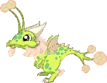 PollenDragonJuvenile