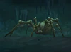 EchowebWidow