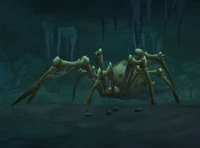EchowebWidow