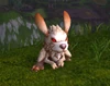 SpringtailBurrower