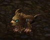 SpringtailTrapper