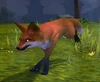 SlyFox