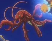 Zarigun-JP-Anime-5D-NC