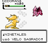 VeloSagradoO