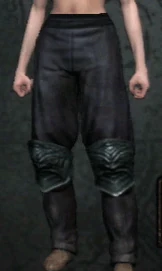 Assassins breeches anim