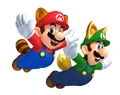 OFFICIAL RACCOON MARIO AND FOX LUIGI