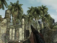 Burn 'em Out CoDWaW2