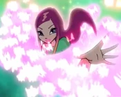 Roxy text