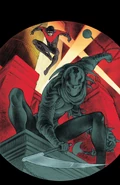 Nightwing Vol 3-13 Cover-1 Teaser