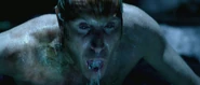 The-amazing-spider-manCA3P4ZOT