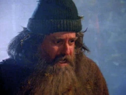 Fred (Lighthouse Island)