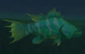 EnormousCattailGrouper.jpg
