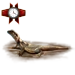 Item chuckwalla 01