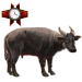 Item tamaraw 01