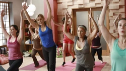 Desperate Housewives 8x04