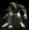 Falmer.jpg