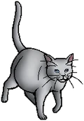 Willowpelt.queen