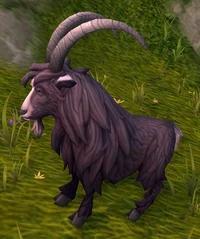 WildShaghorn