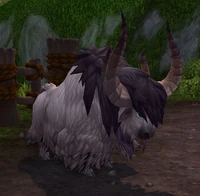 PrizeShagskin