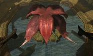 Sunchamber flaahgra fountain purified 2 dolphin hd