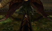 Sunchamber flaahgra stunned bomb slot dolphin hd