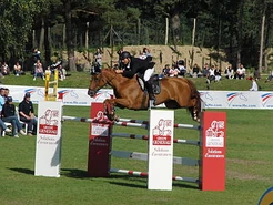 Show Jumping
