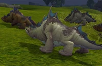 SungrazeMushanCalf