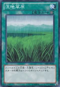 Wetlands-DE02-JP-C
