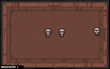 Basement24