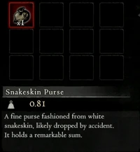 Snakeskin Purse