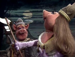213 pig opera