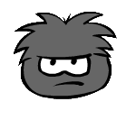 Black puffle old look
