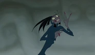 Yzma 24