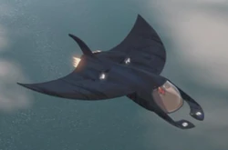 Manta Jet