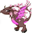 SakuraDragonJuvenile