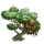 White Cypress Tree-icon