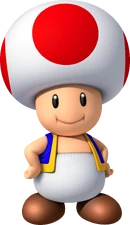 NSMBWiiUToad