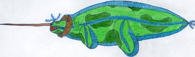 Endyraga 2