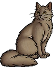 Mudfur.warrior