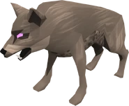 Cave Wolf Matriach