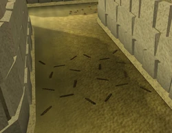 Floor trap